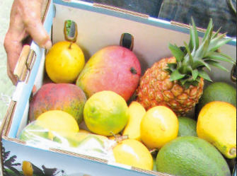 Free USDA Fresh Fruit & Vegetable Program Workshops