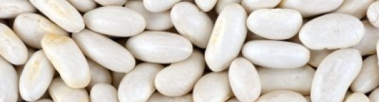 white beans