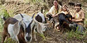 goatfam